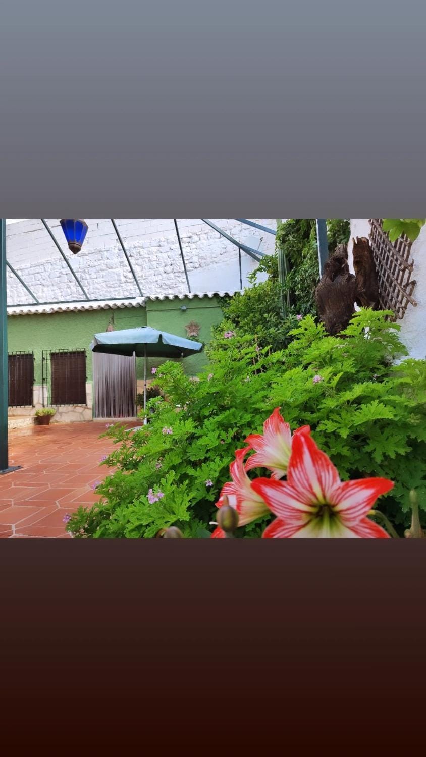 Day, Garden, Garden view