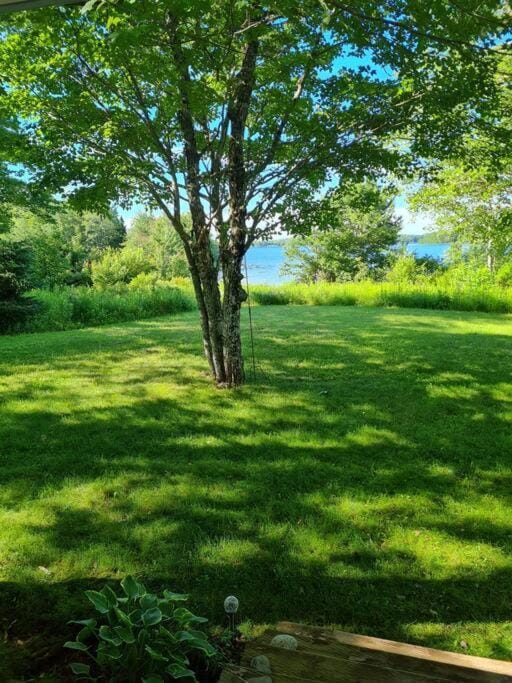 Garden, Garden view, Lake view