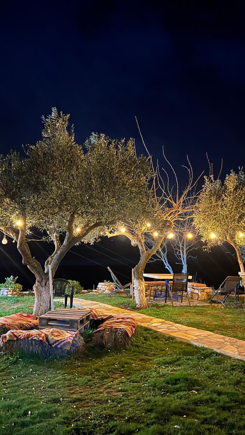 Spring, Night, Natural landscape, Garden, Garden view