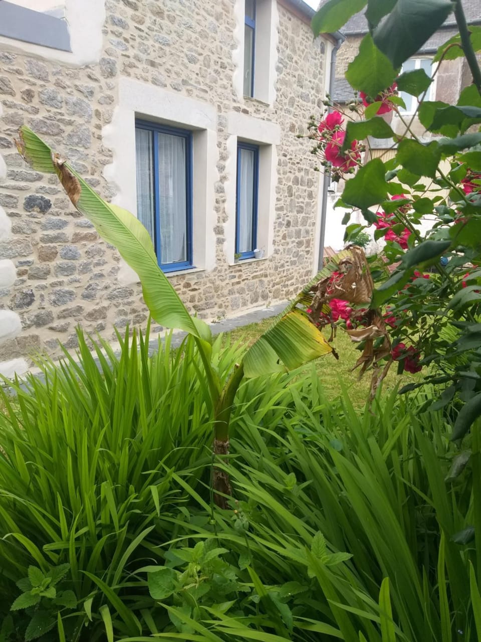MAISON CANCALAISE House in Cancale