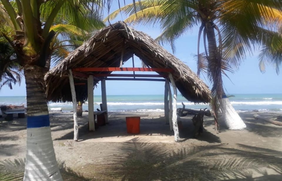 Natural landscape, Beach, Sea view