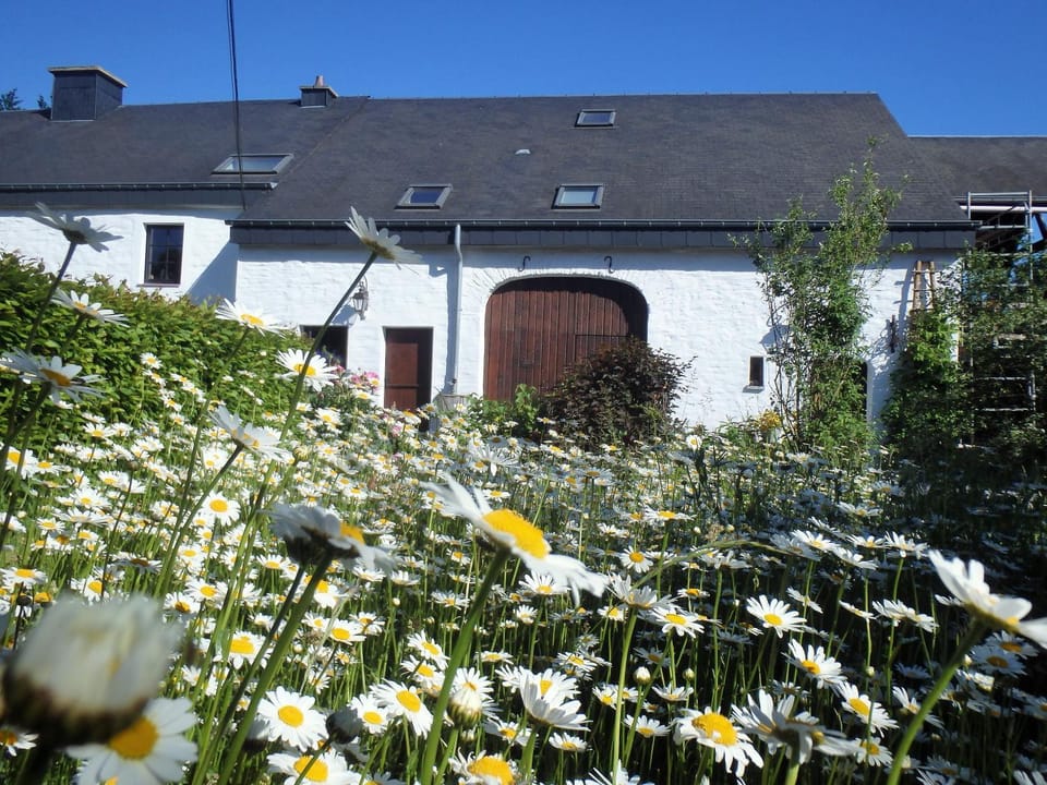 Property building, Facade/entrance, Garden