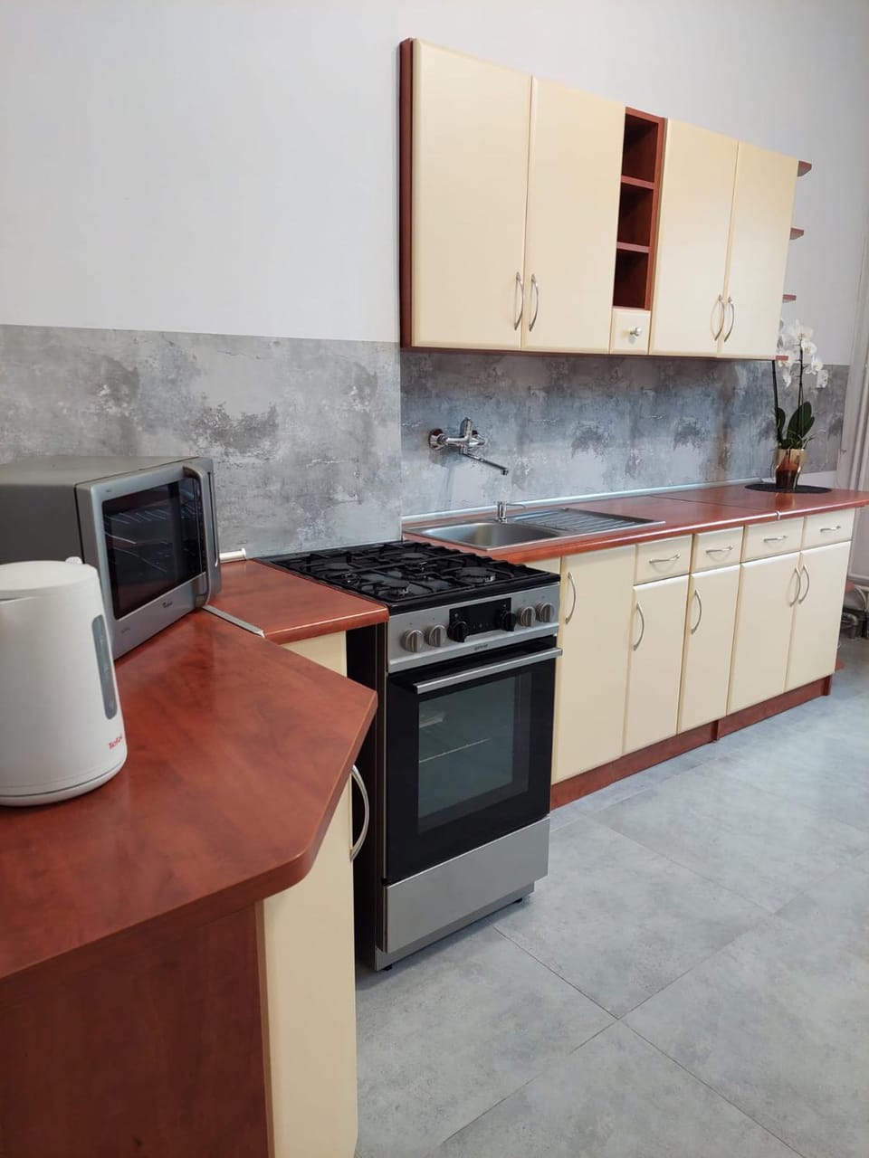 Kitchen or kitchenette, Communal kitchen, oven