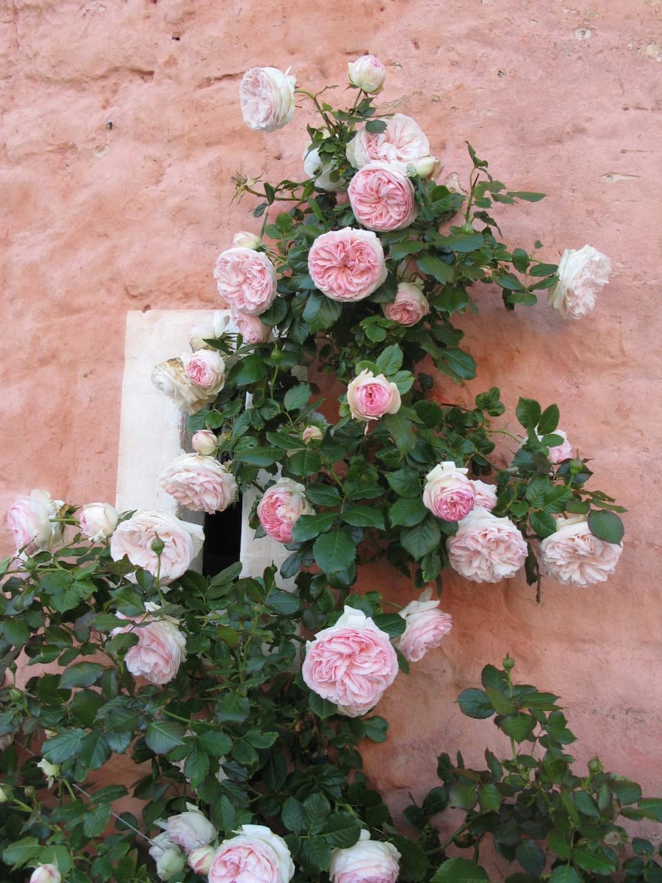 Gîte de la Ferme Rose House in Hauts-de-France