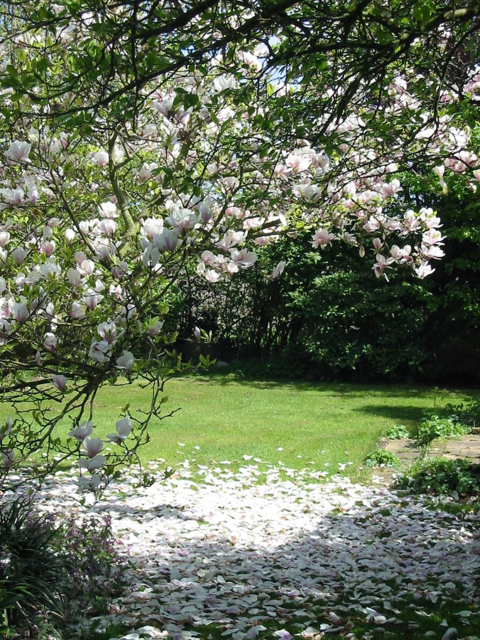 Spring