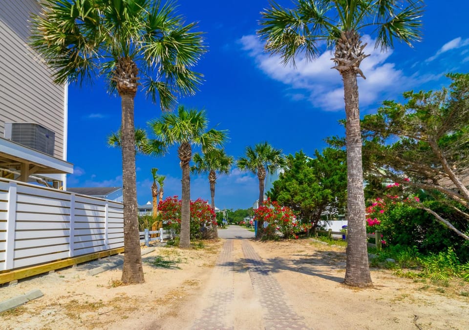 Day, Neighbourhood, Natural landscape, Summer, Garden
