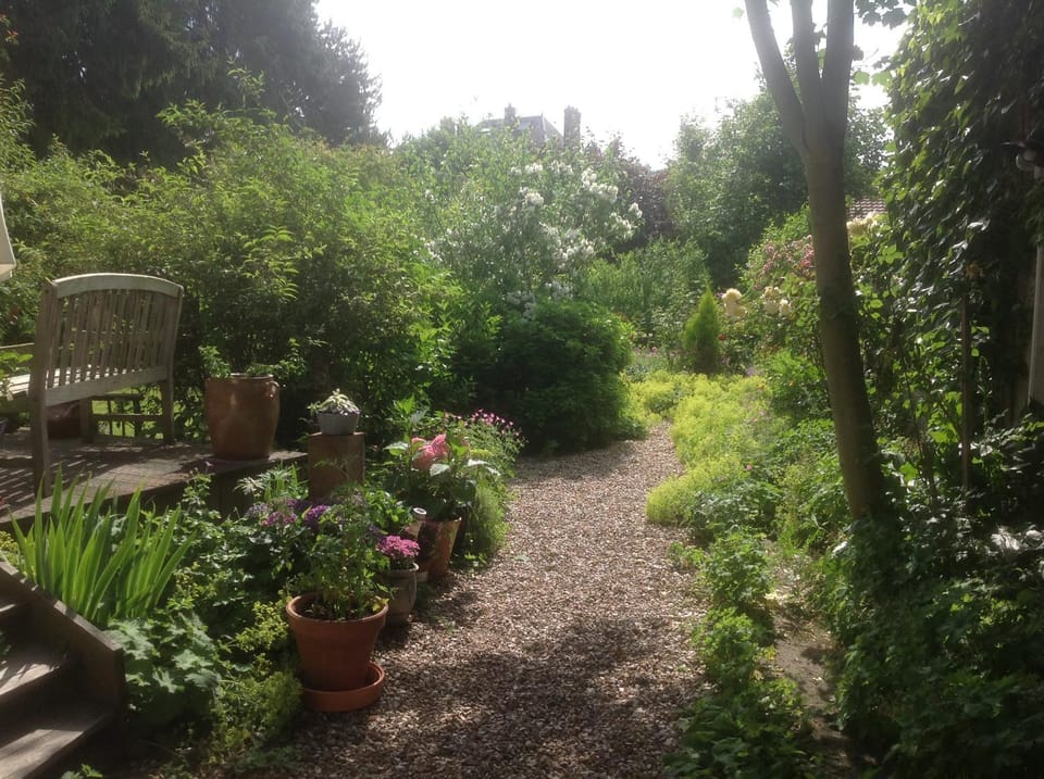 Garden, Garden view