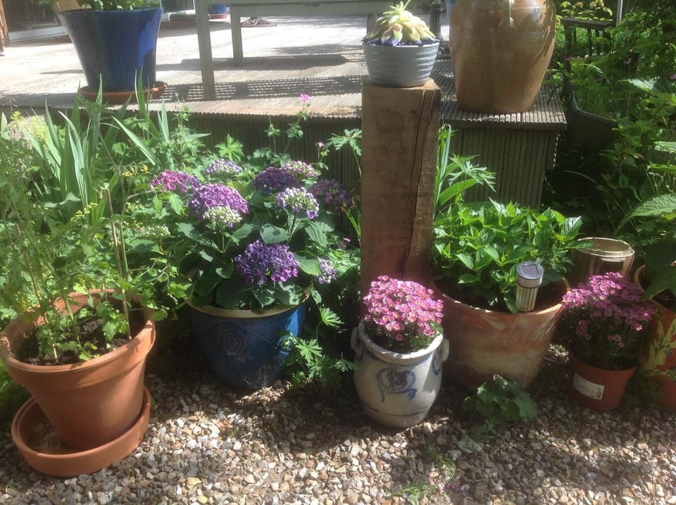 Garden, Decorative detail