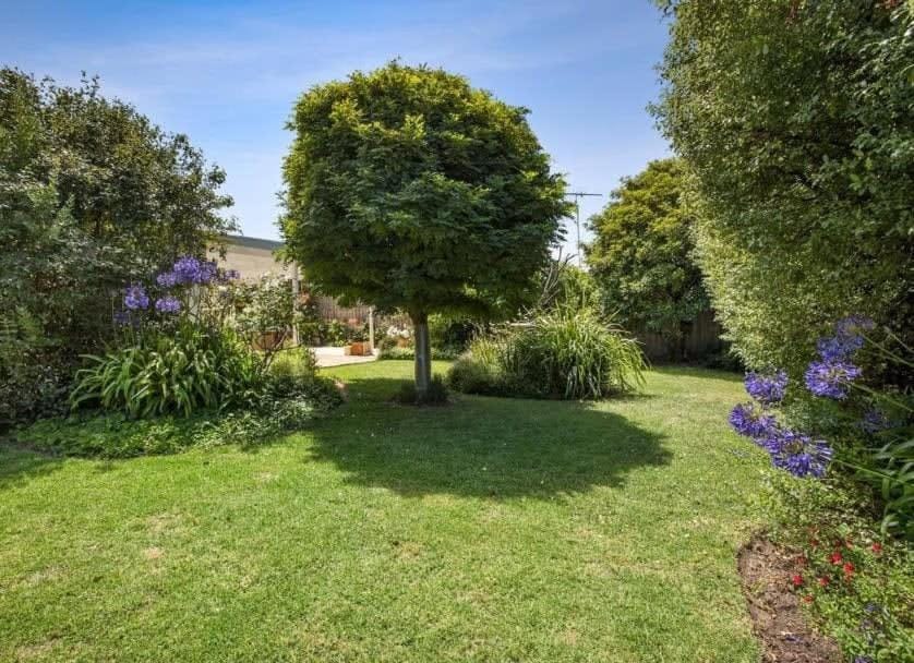 Natural landscape, Garden, Garden view