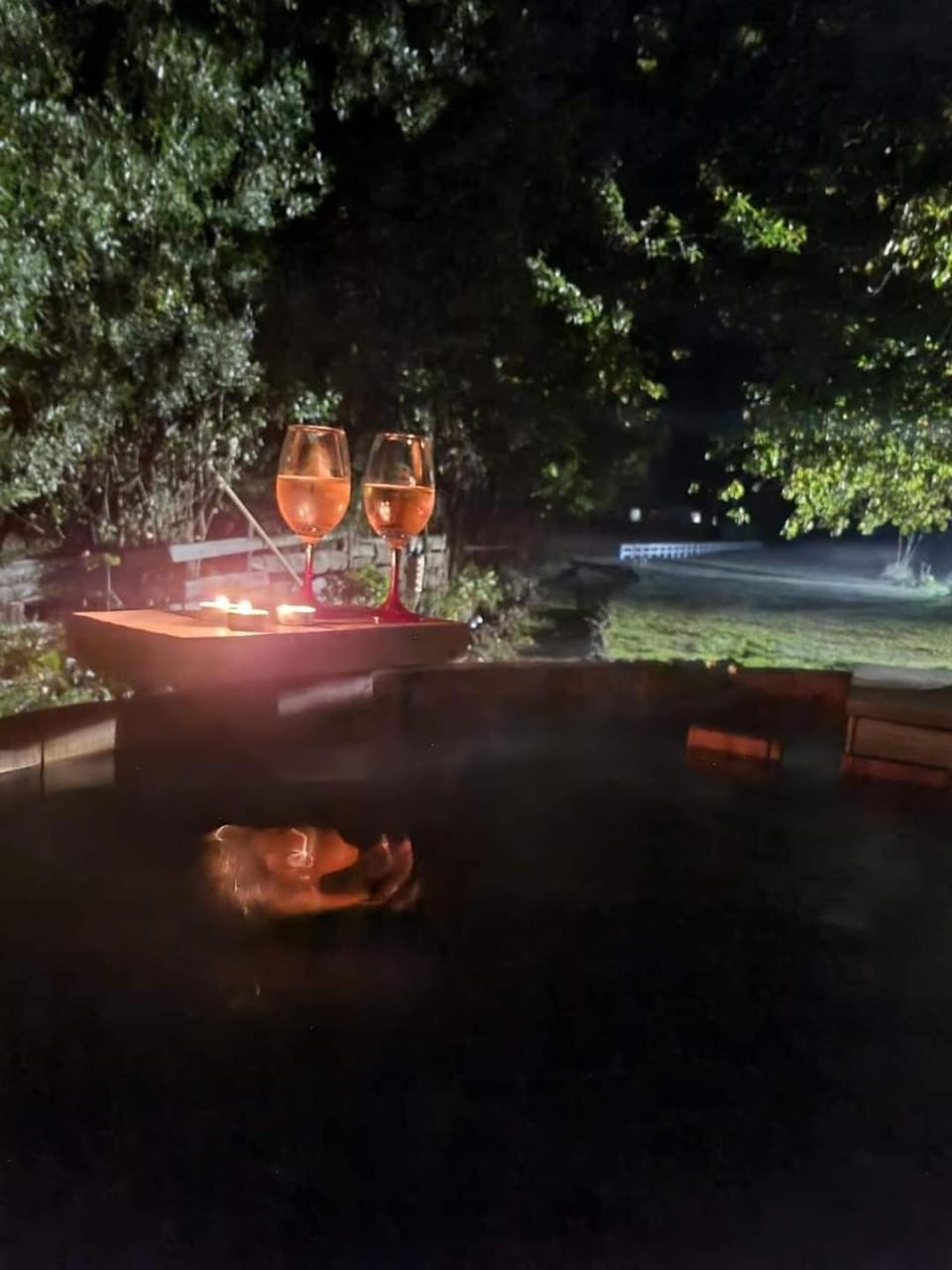 Night, Natural landscape, Garden view