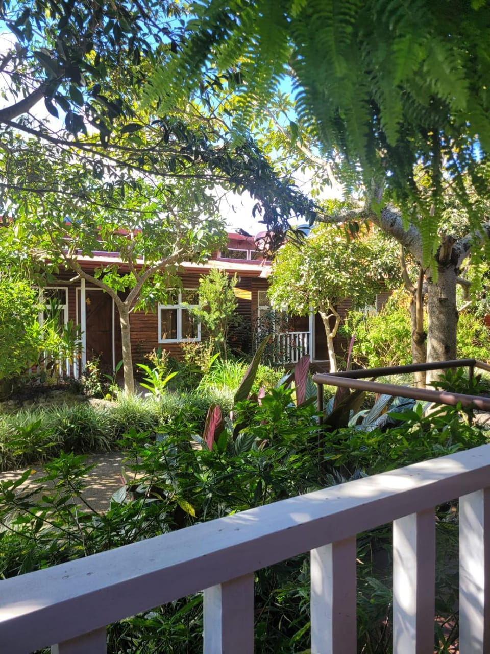 Cabañas Barú Dota Apartment in Cartago Province, Costa Rica