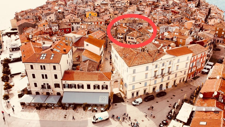 Bird's eye view, Location