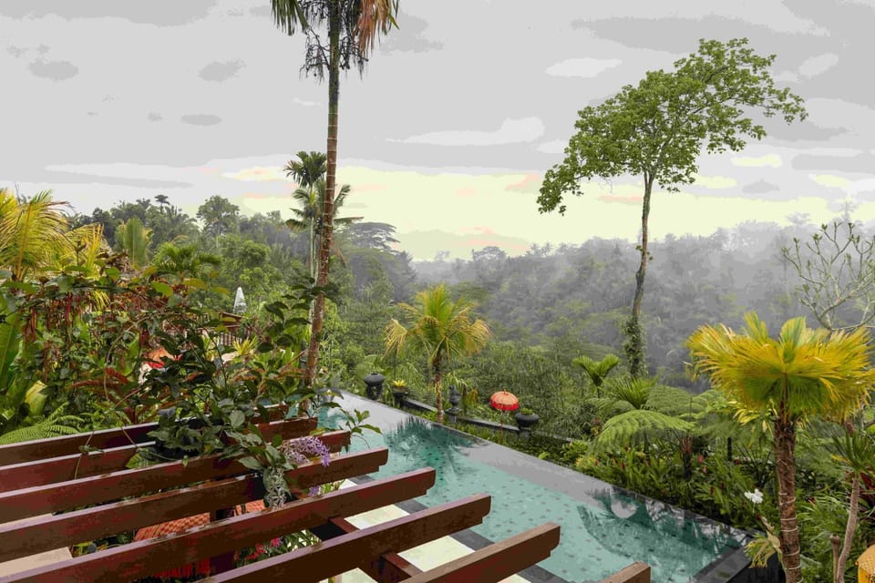 Pool view, Swimming pool