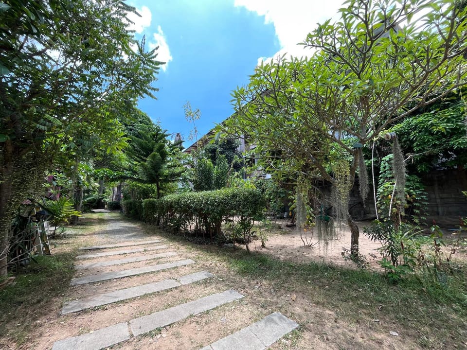 Day, Natural landscape, Garden view