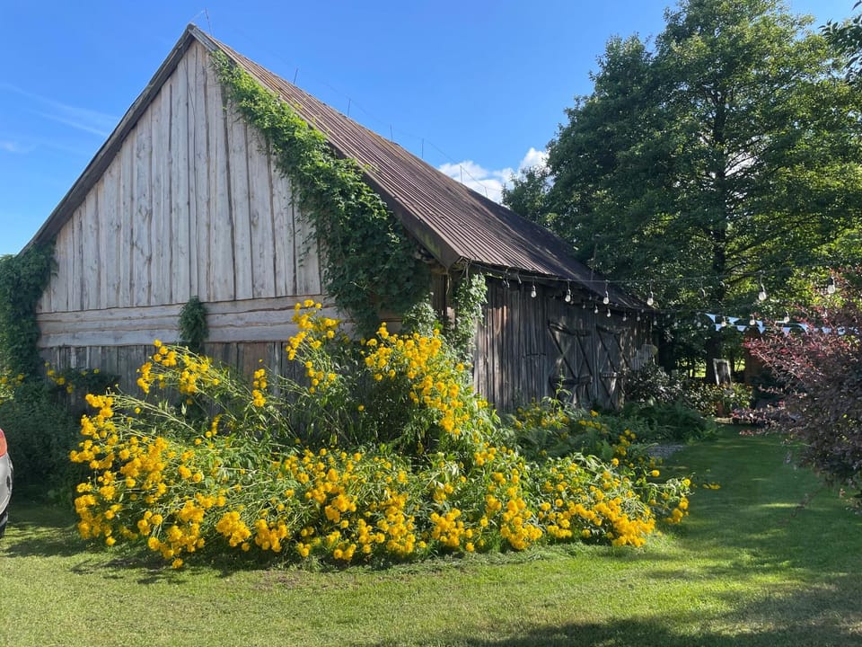 Kolonia u Jasia Rajgród House in Poland