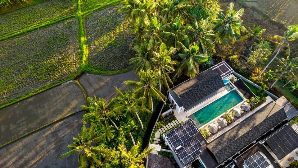 Bird's eye view, Swimming pool, internet