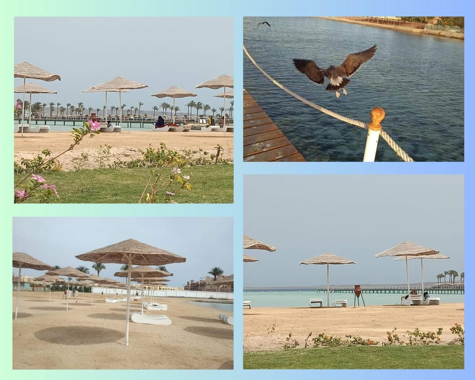 Natural landscape, Beach