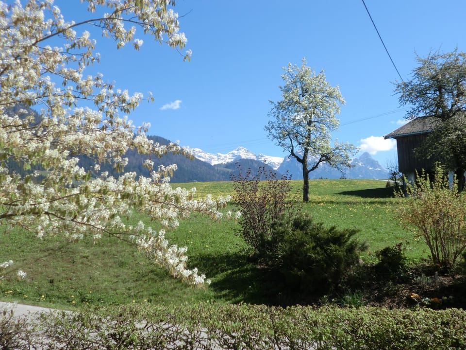Mountain view