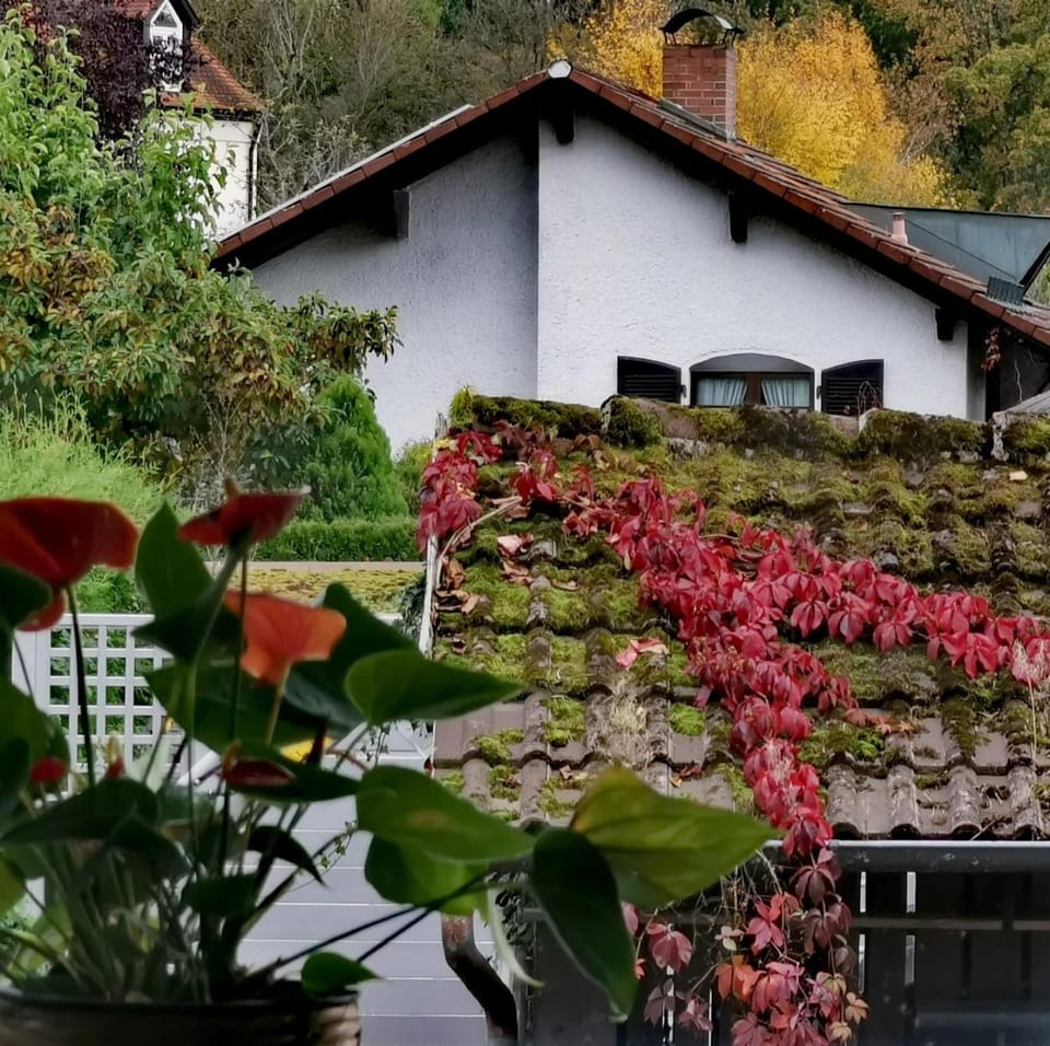 Patio, Balcony/Terrace