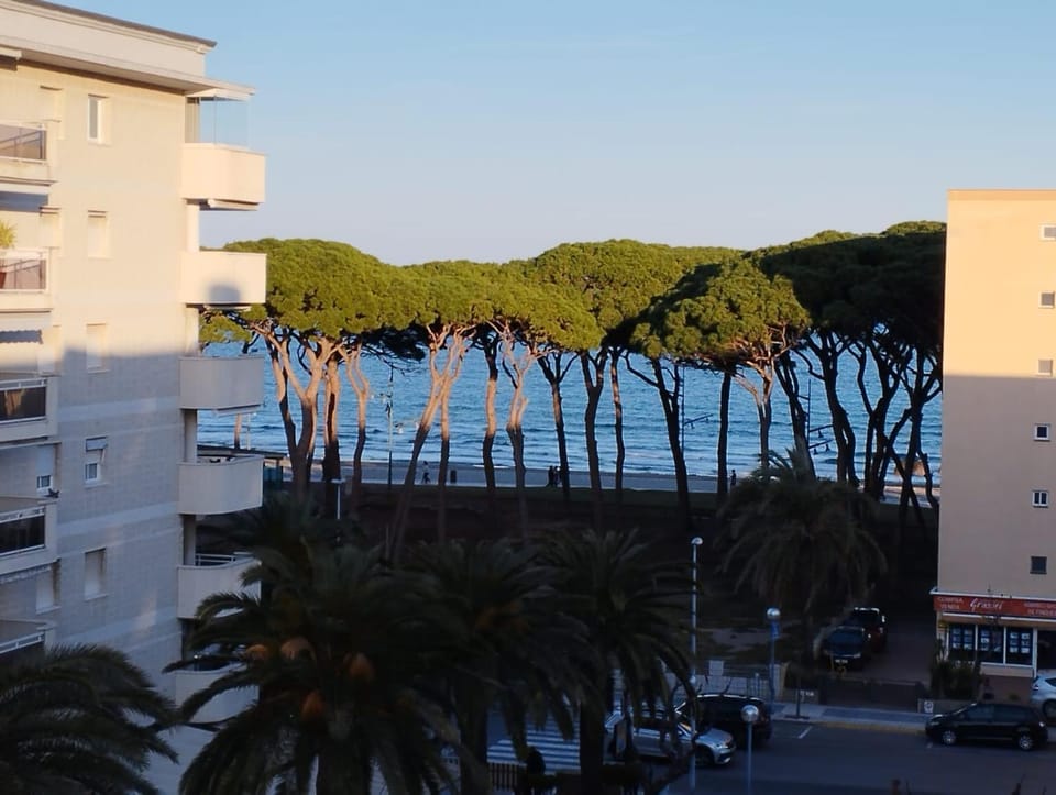 Beach, Sea view