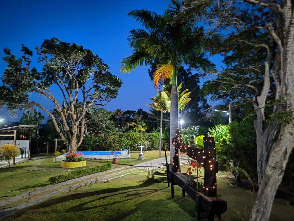 Night, Garden, Garden view, Pool view, Swimming pool