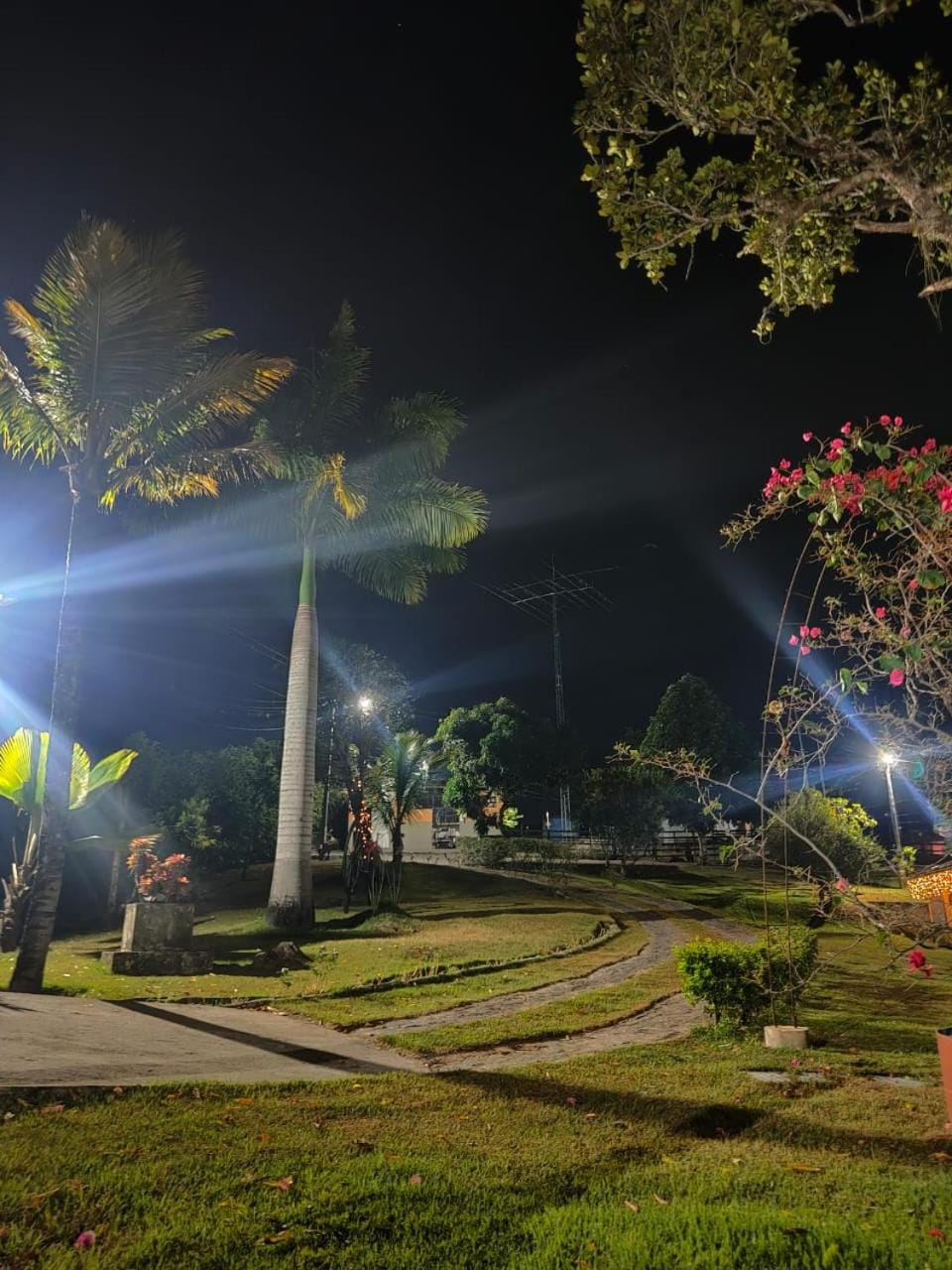 Night, Garden, Garden view