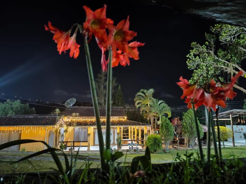 Property building, Night, Garden, Garden view