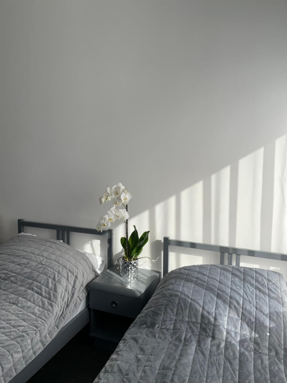 Jagodowa 15 Bed and Breakfast in Poland