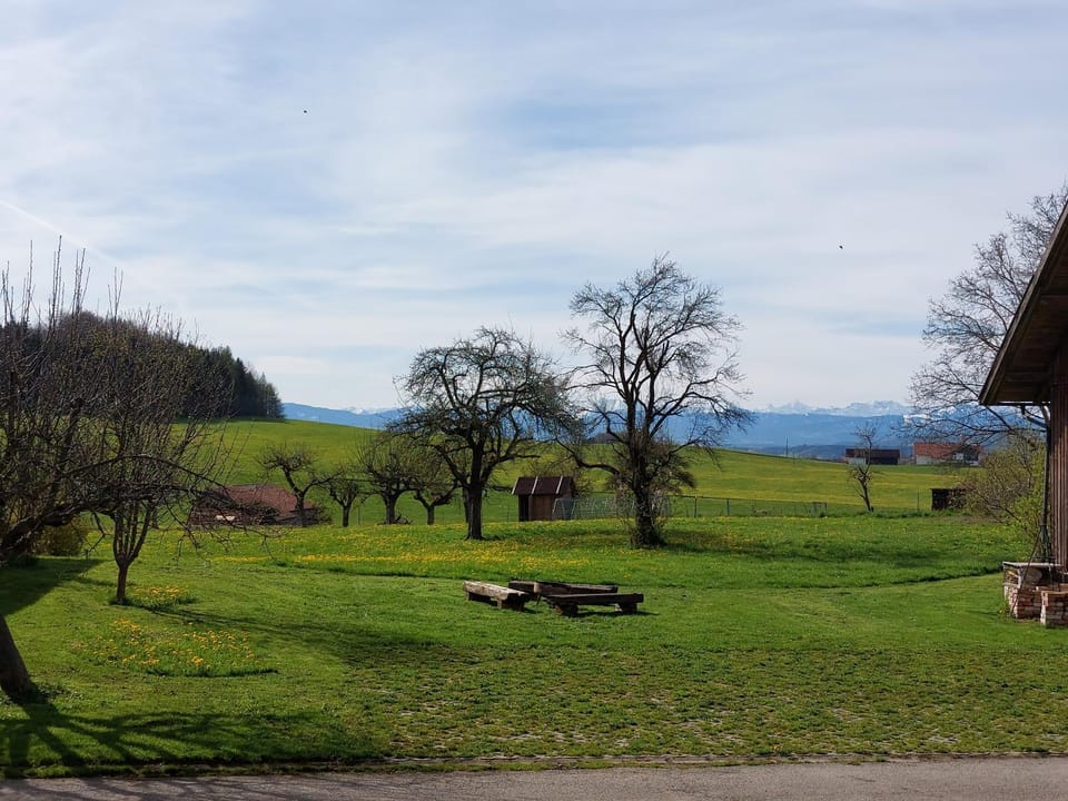 Day, Natural landscape, Garden, Garden view, Mountain view