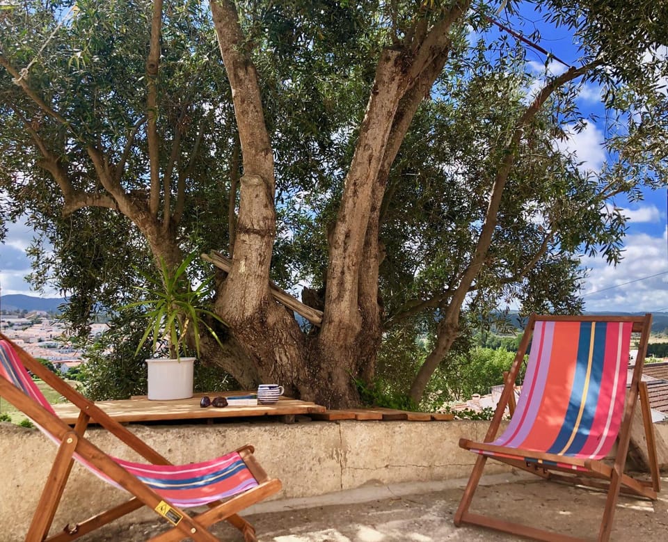 Casa Anneli - relaxing under the olive tree House in Faro District