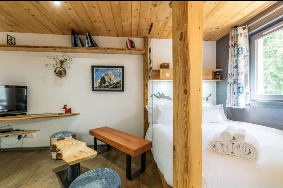 Small haven of peace with Mont-Blanc view Apartment in Chamonix