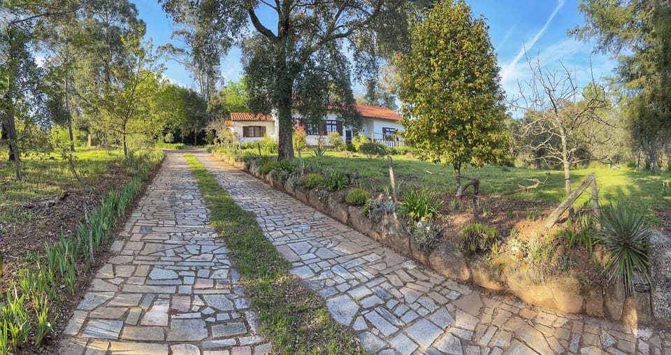 Property building, Natural landscape, Garden