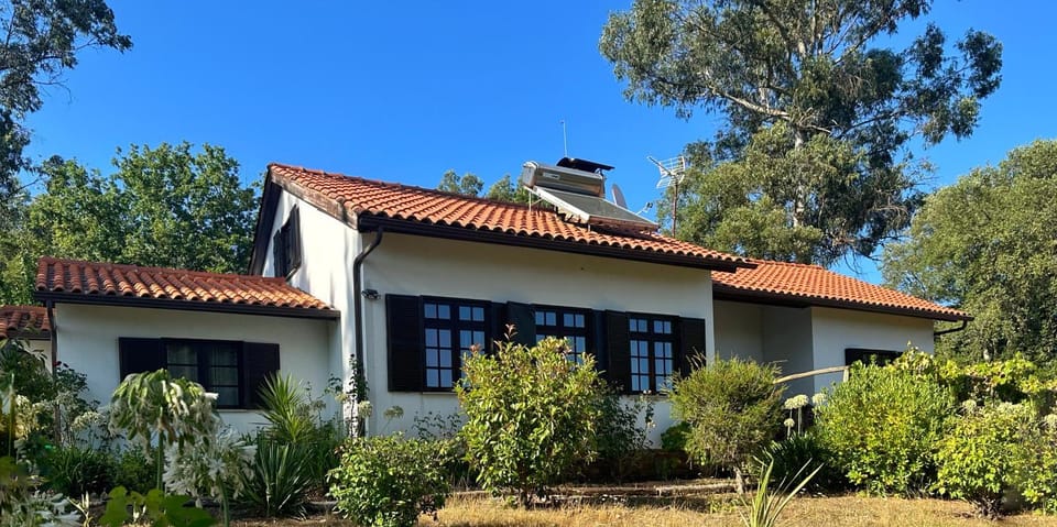Property building, Garden view