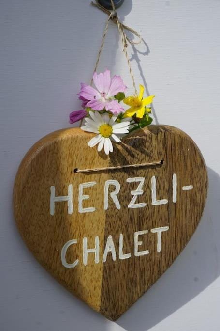 HERZLI-CHALET über dem Rheintal mit Schlossblick Chalet in St. Gallen, Switzerland