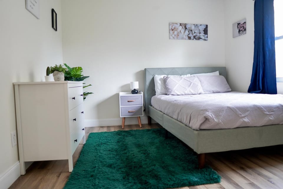 Jay's Cozy Escape Apartment in Tampa