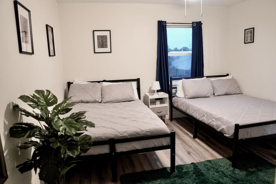 Jay's Cozy Escape Apartment in Tampa
