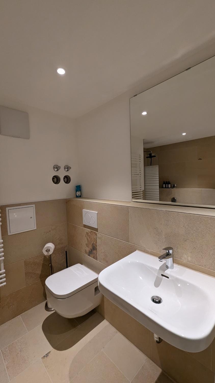 Shower, Toilet, Bathroom, bidet