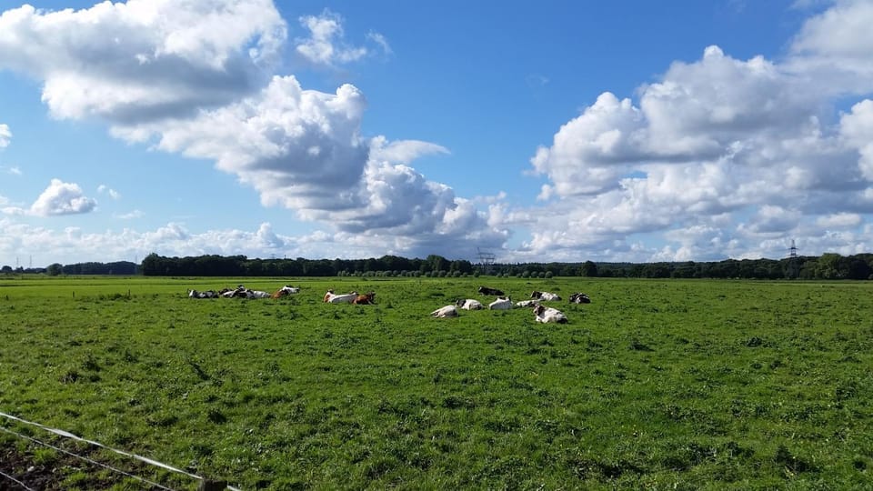 Natural landscape