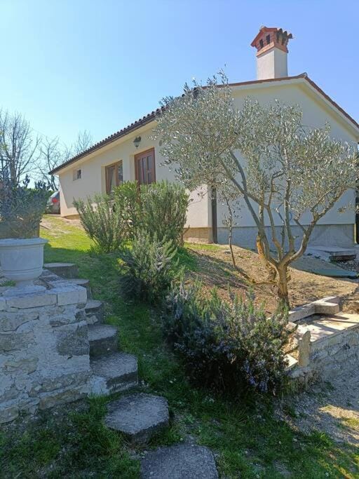 Property building, Spring, Day, Garden, Garden view