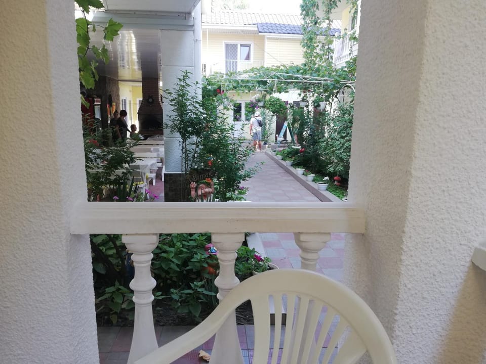 View (from property/room)