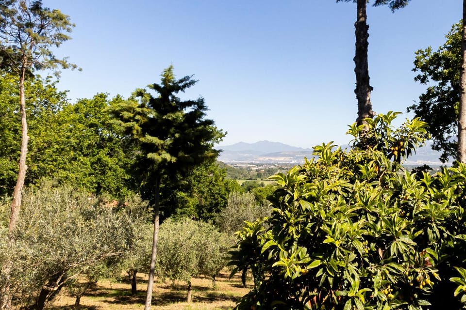 Casa Vacanza Capozzoli House in Campania