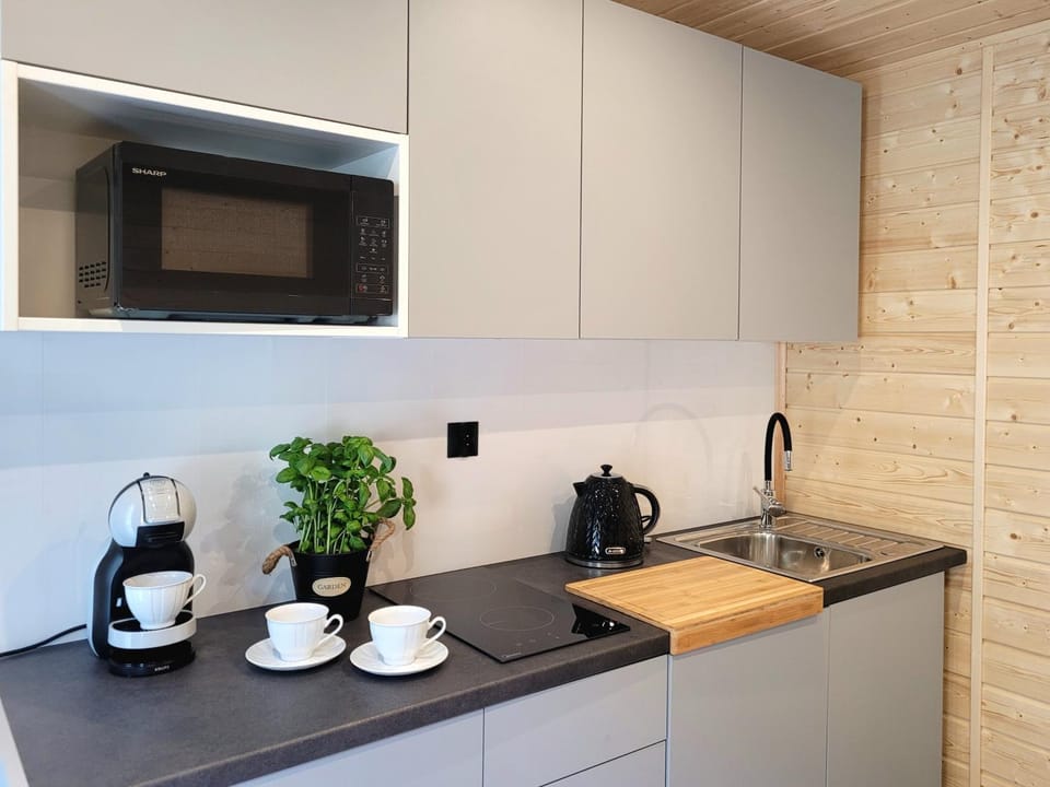 Coffee/tea facilities, Kitchen or kitchenette, minibar, stove