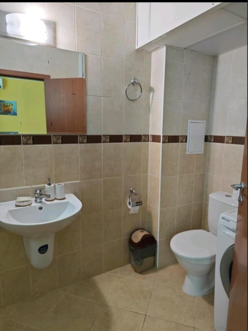 Toilet, washing machine