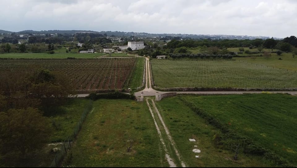 Neighbourhood, Natural landscape, Bird's eye view