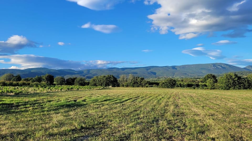 Mountain view