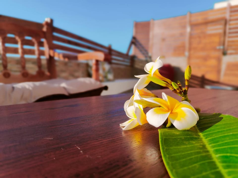 Casa di Rena Private House with Sunset View House in Rhodes, Greece