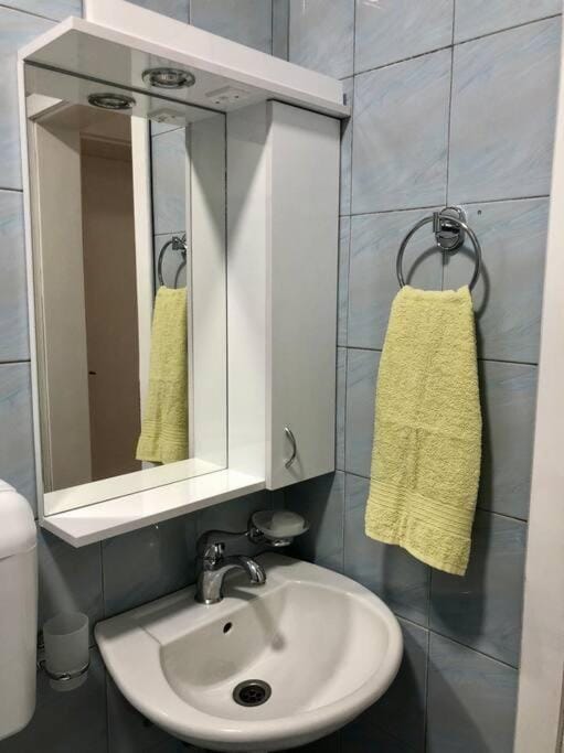 Lovely 1-bedroom condo with available parking Apartment in Serbia