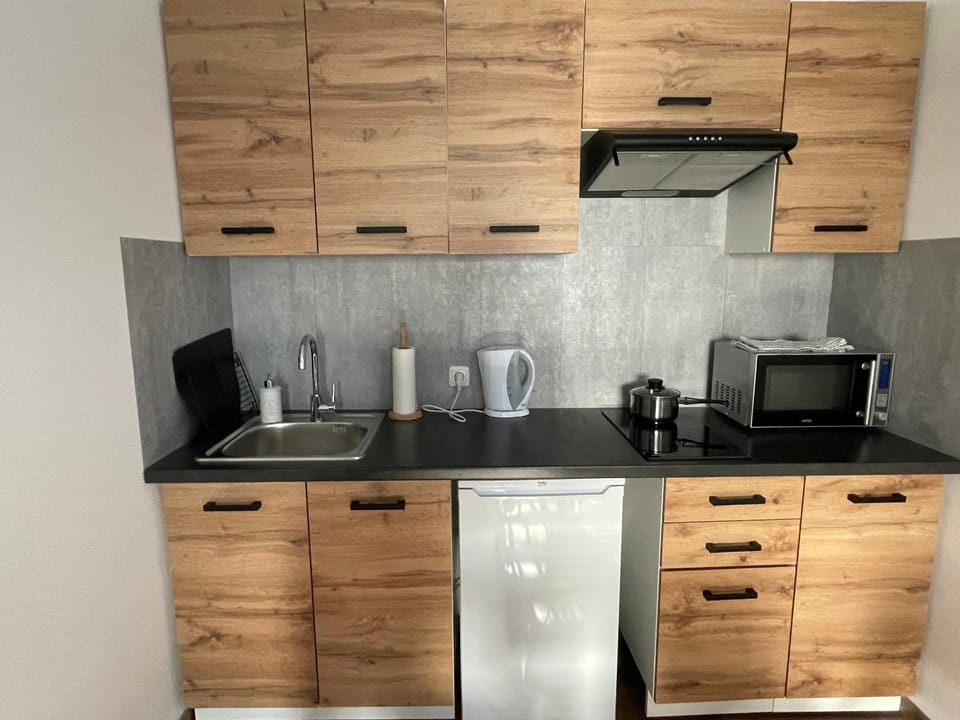 Coffee/tea facilities, Kitchen or kitchenette, minibar, stove