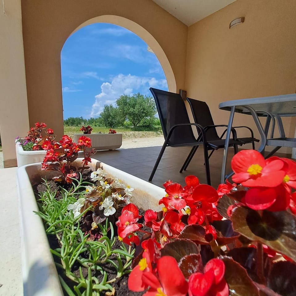 Apartman Darija 2 Apartment in Podstrana