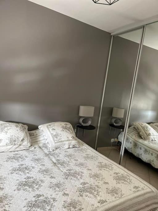 Grand Appartement lumineux Apartment in Canet-en-Roussillon